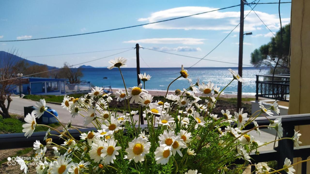 Appartamento Socrates Sea View Kampos Marathokampou Esterno foto