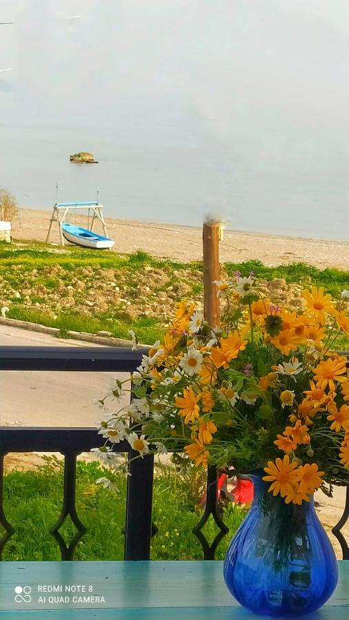 Appartamento Socrates Sea View Kampos Marathokampou Esterno foto