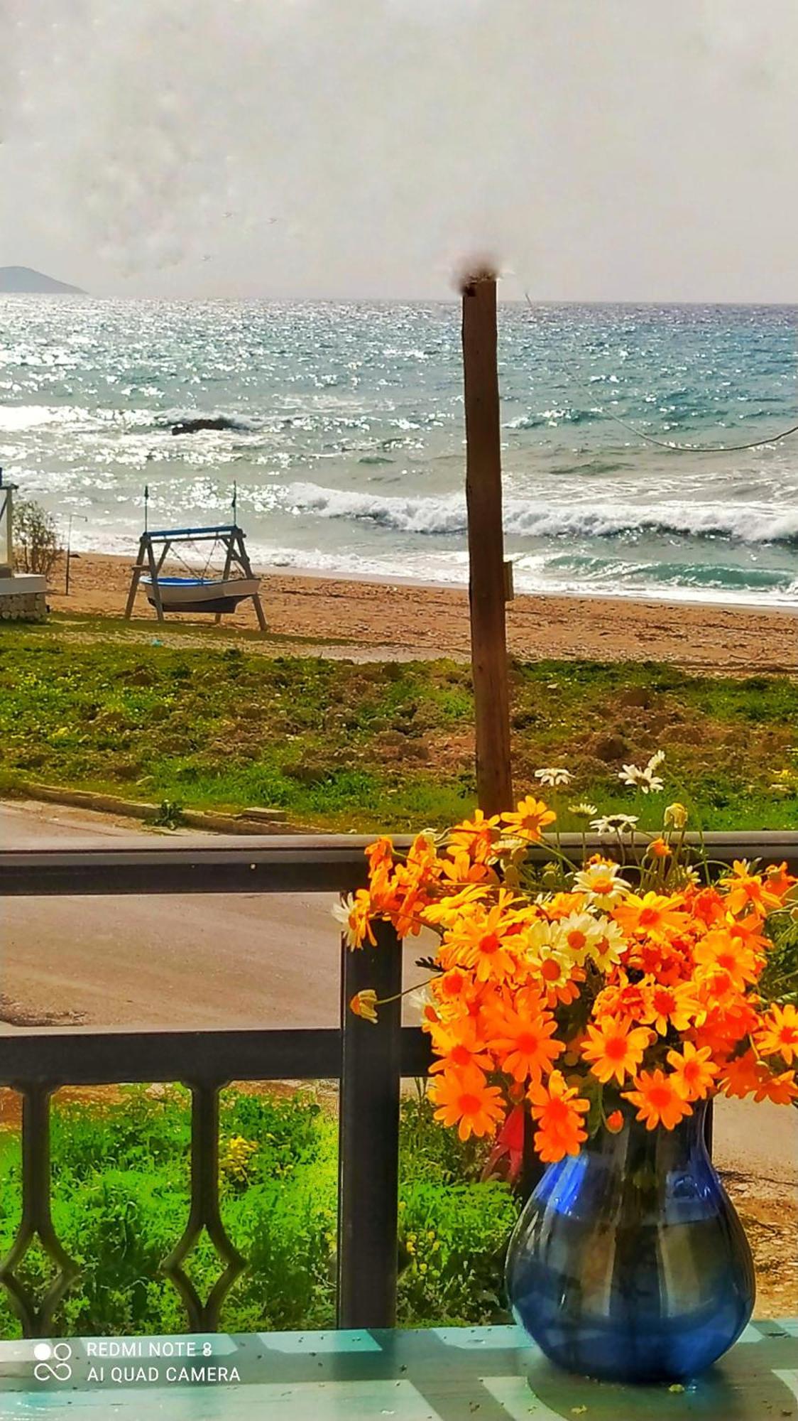 Appartamento Socrates Sea View Kampos Marathokampou Esterno foto