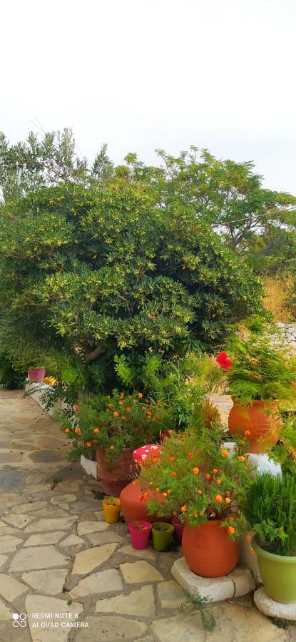 Appartamento Socrates Sea View Kampos Marathokampou Esterno foto