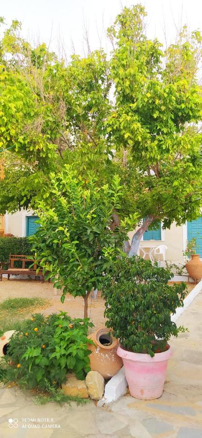 Appartamento Socrates Sea View Kampos Marathokampou Esterno foto
